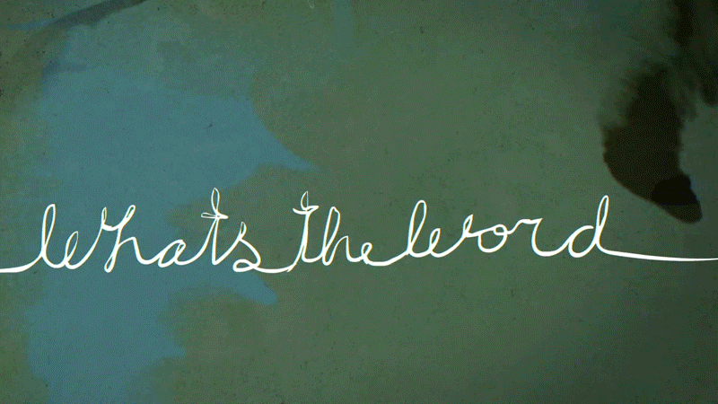 Whats-the-Word-1.gif