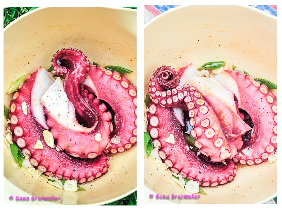 octo.jpg