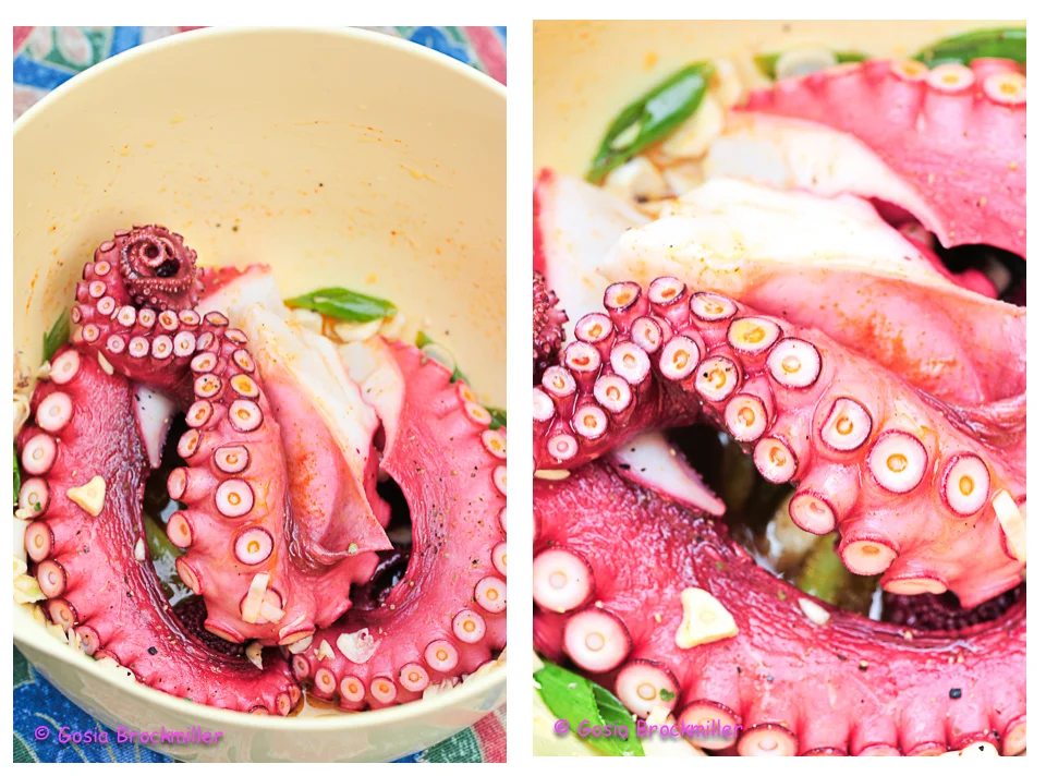 octo2.jpg