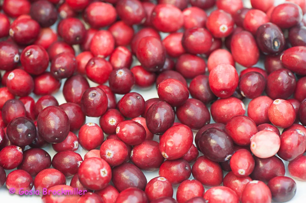 cranberry-1.JPG