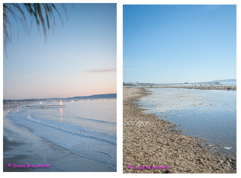 beach.jpg