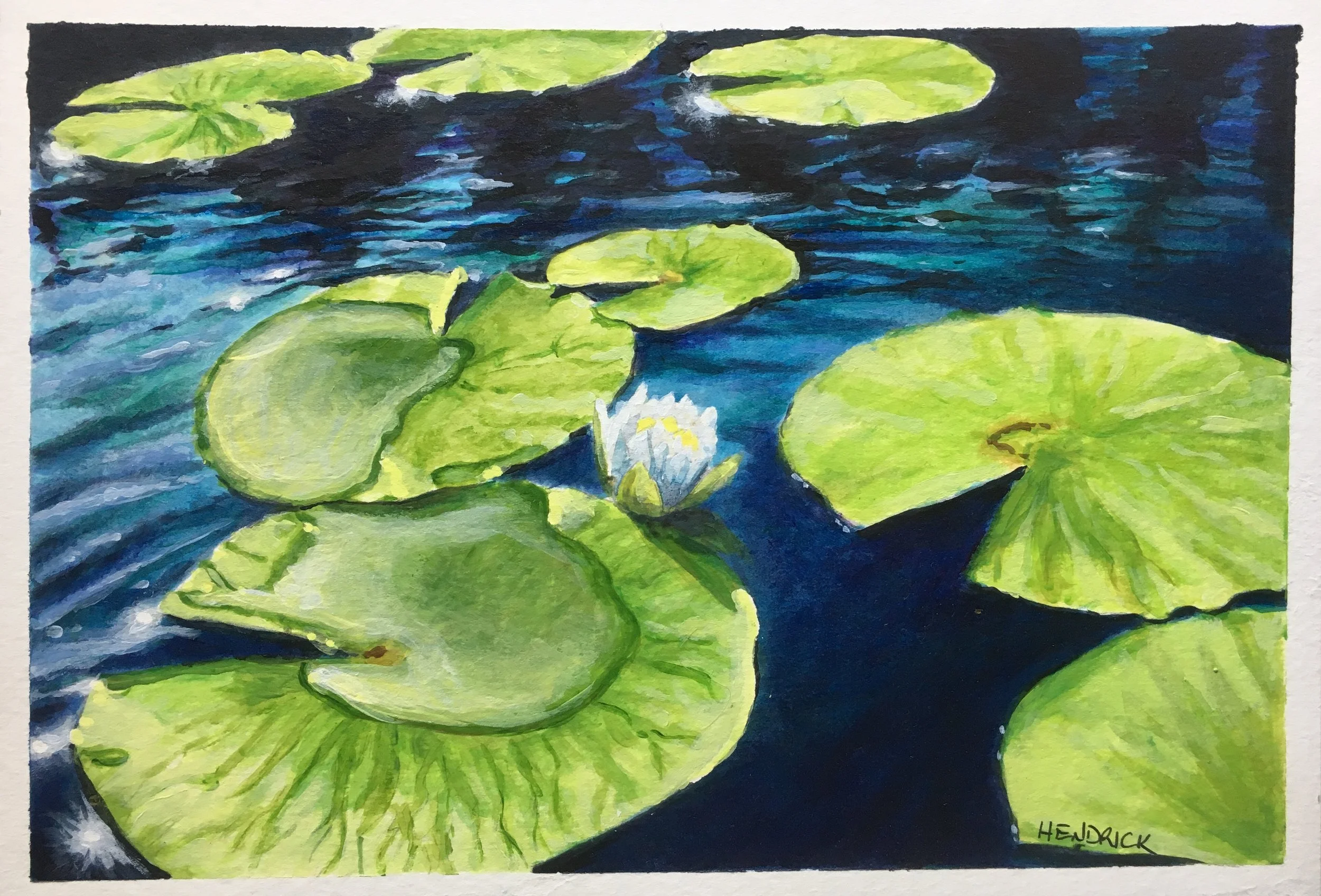 florida lilly.jpg