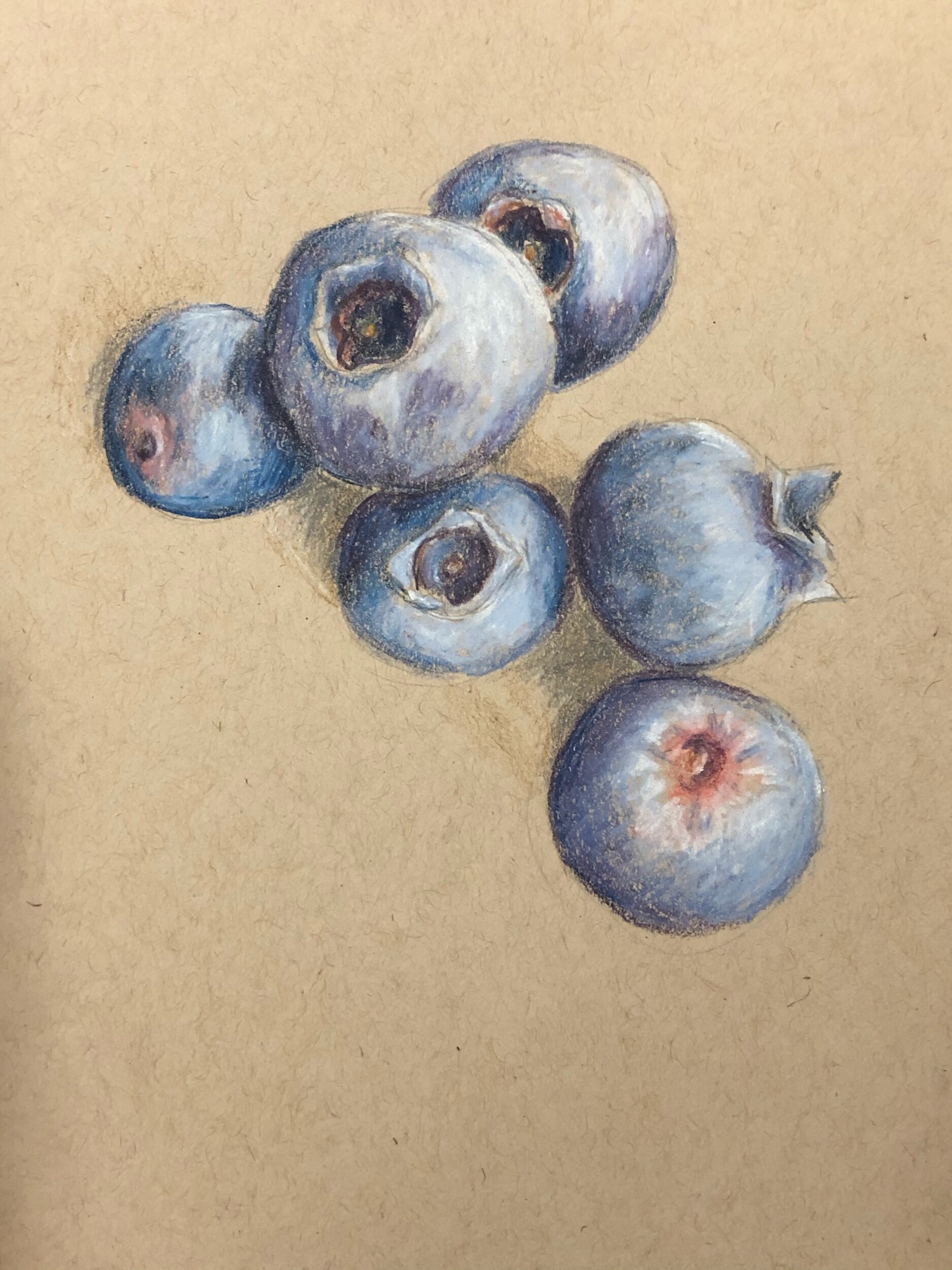 Blueberries, colored pencil