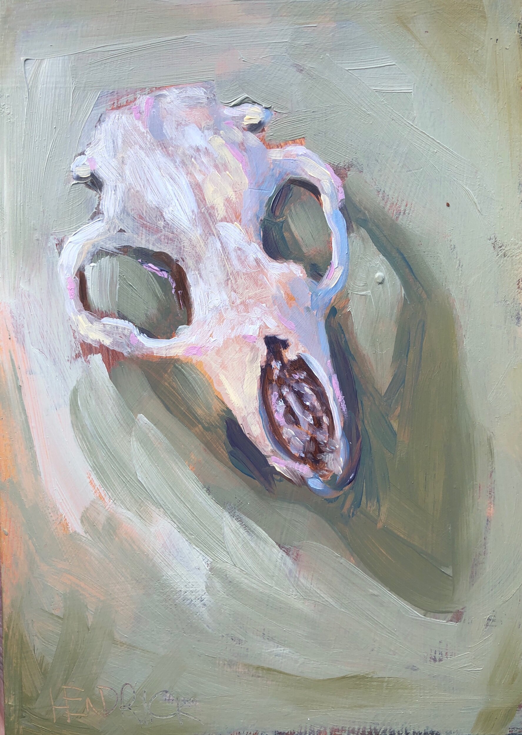 Skull on Sage 5x7”, oil