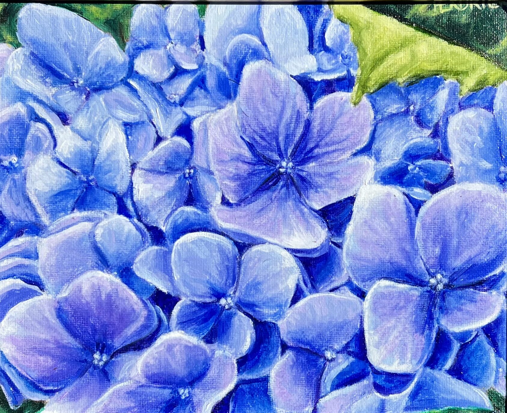 1B1166B3-386D-4591-B7F6-F5E6A3C9BE5E