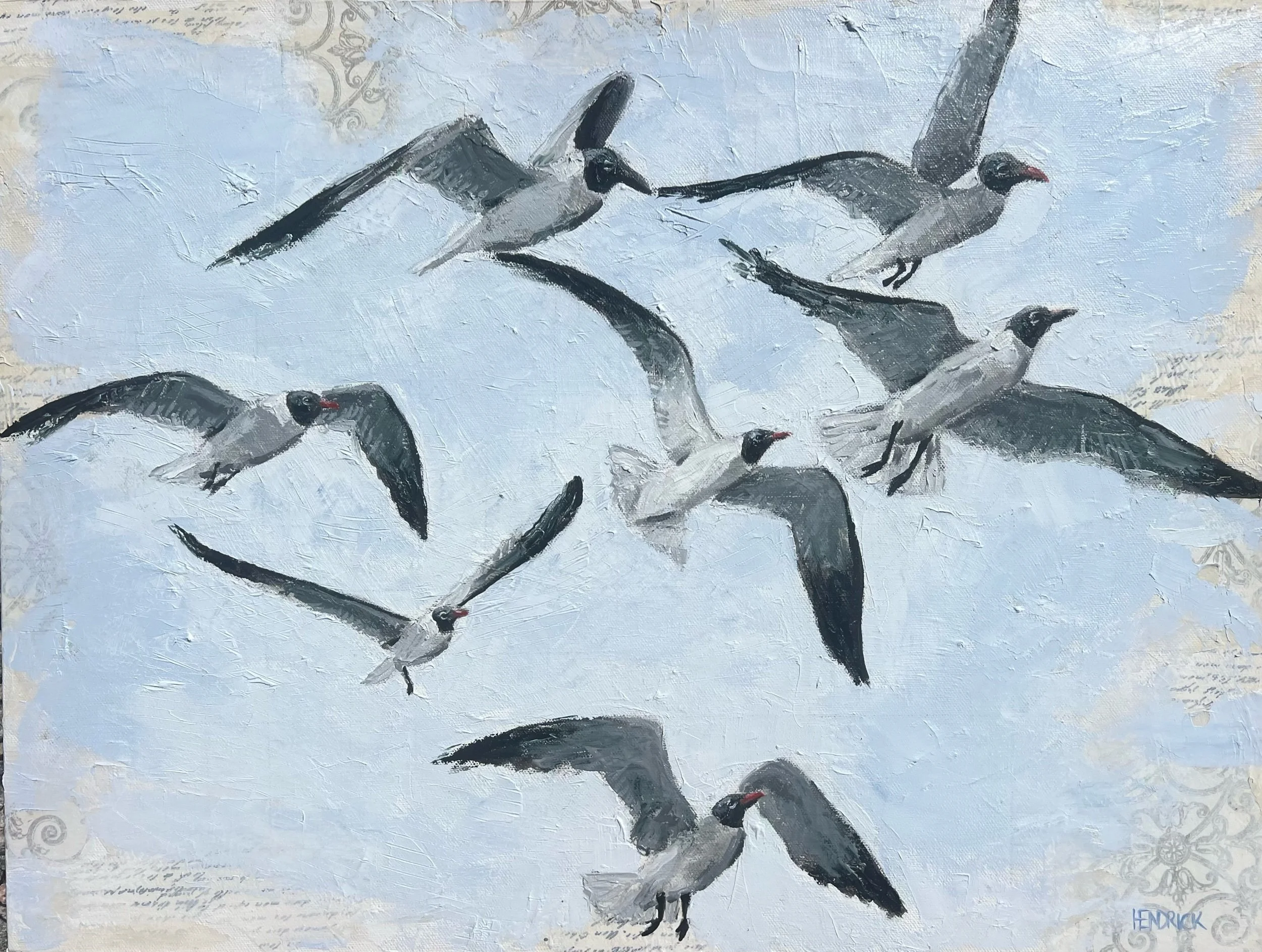 Laughing Gulls