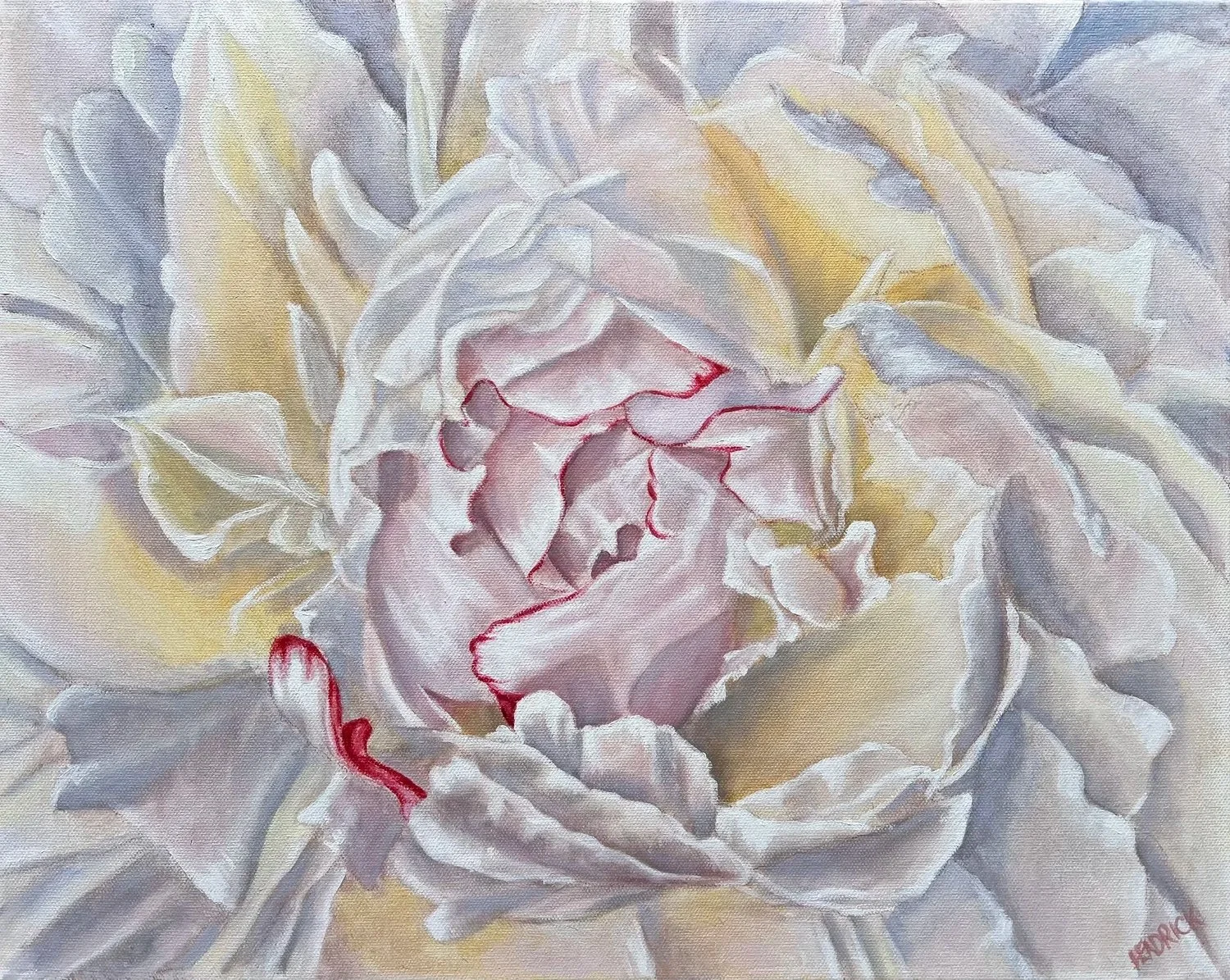 Peony 20x16”, Oil