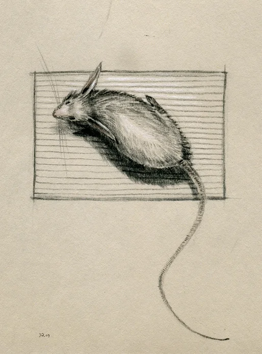 Sketch_66.jpg