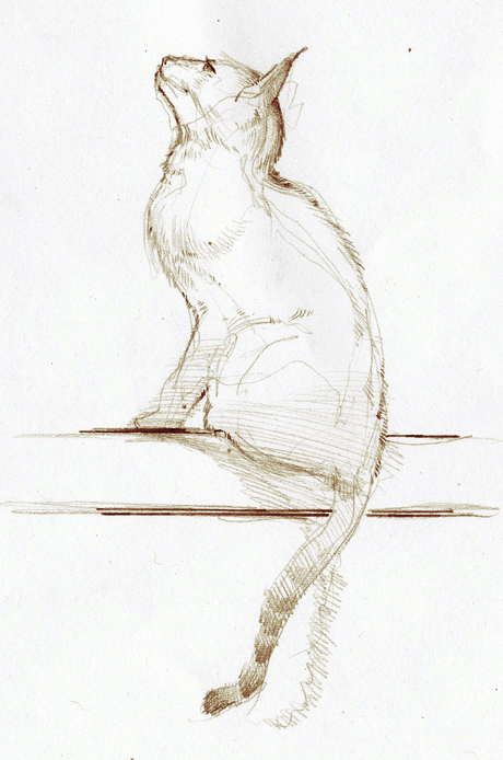 Sketch_47.jpg