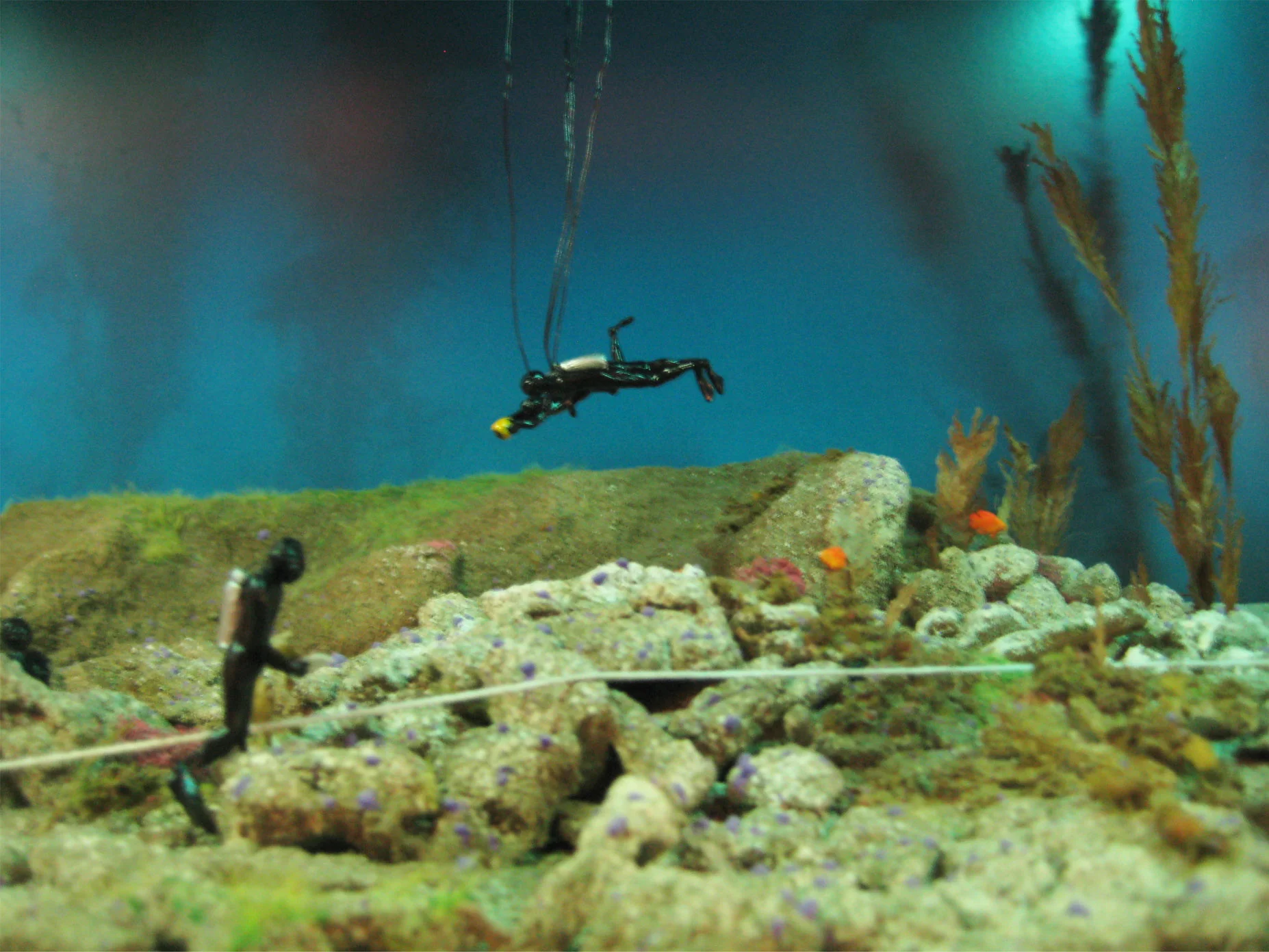 SBMM_Divers.jpg