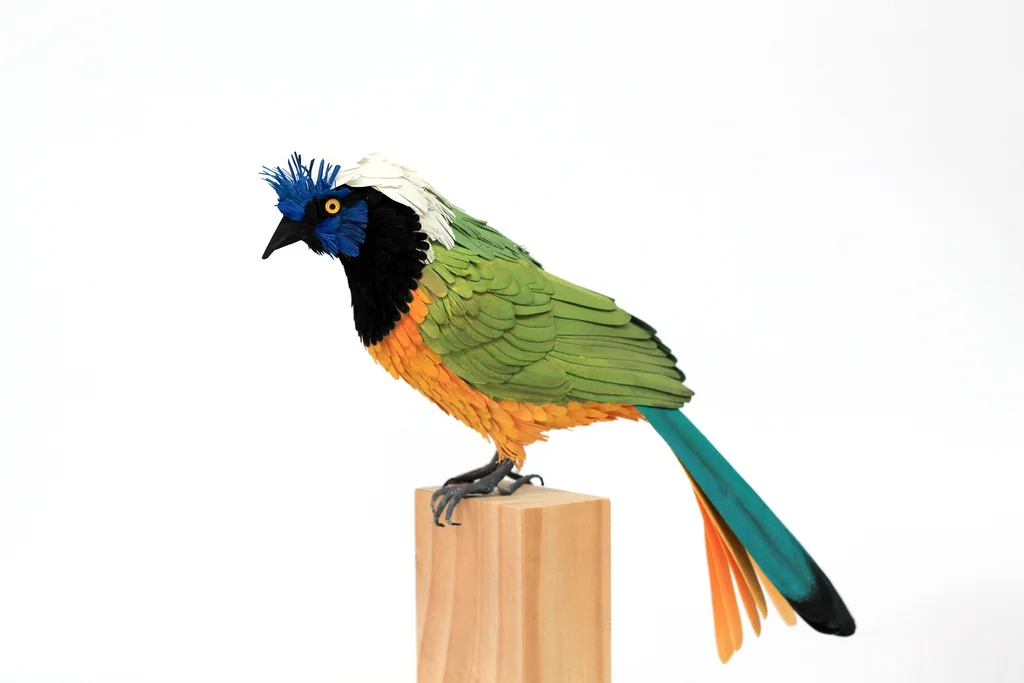bird_1012796_orig.jpg