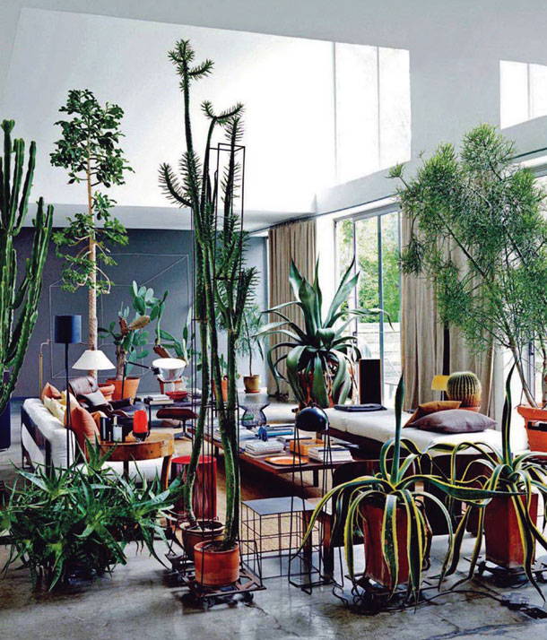 And of course, always a favorite image of my dream life with plants: Maurizio Zucchi's living room. via the189.com