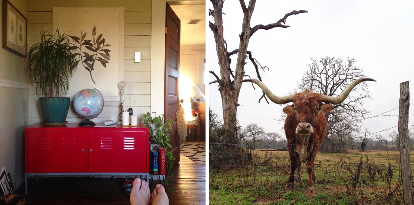 Texas_1_week.jpg