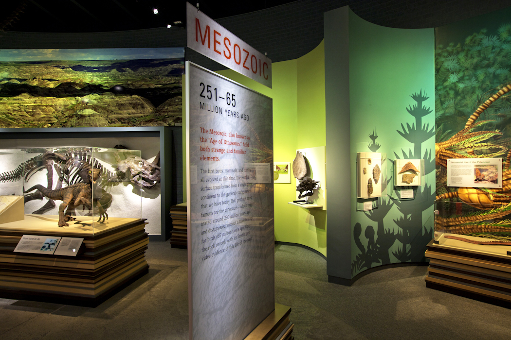 Raymond M. Alf Museum of Paleontology - All You Need to Know BEFORE You Go  (with Photos)