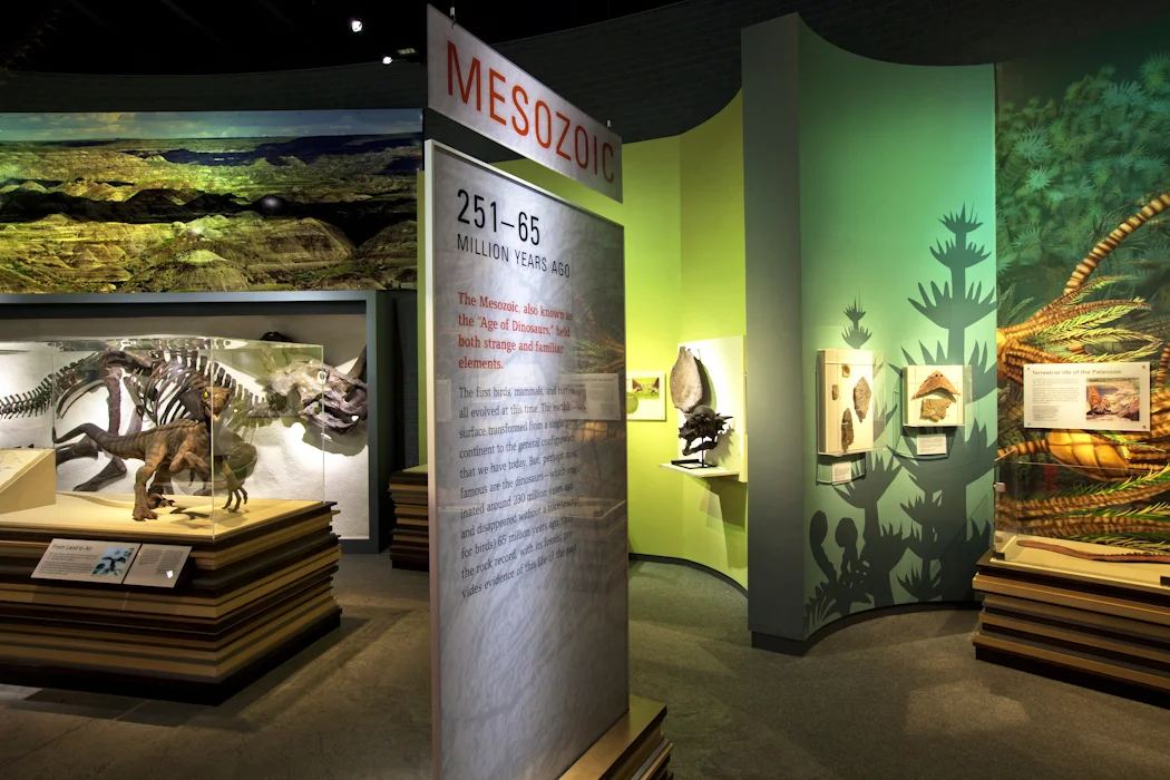 ALFMuseum_JEPhoto__232.jpg