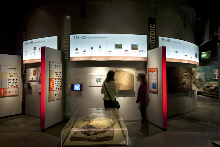 ALFMuseum_JEPhoto__136.jpg