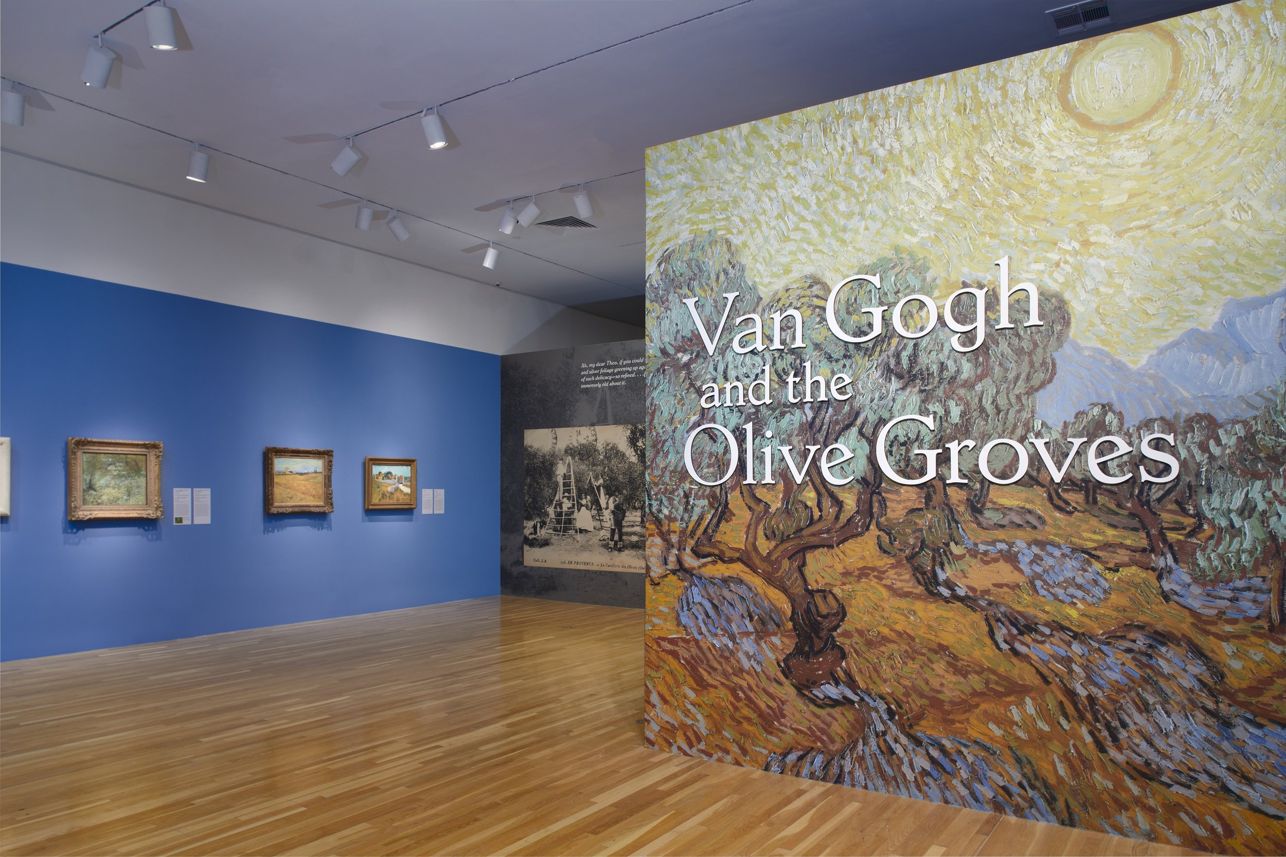 Van Gogh and the Olive Groves_Photo by John Smith, courtesy of Dallas Museum of Art_02_sm.jpg