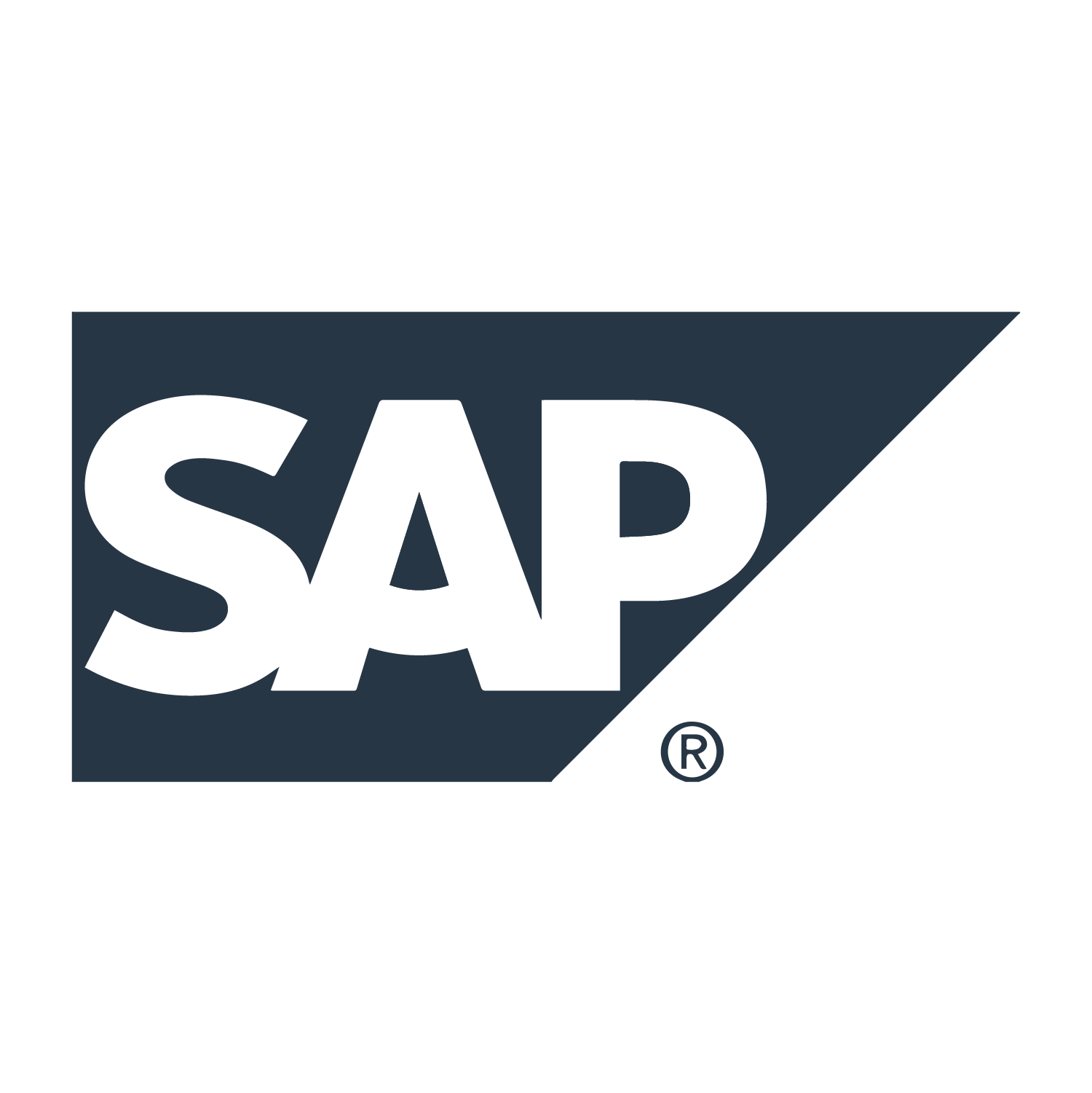 sap_1.png