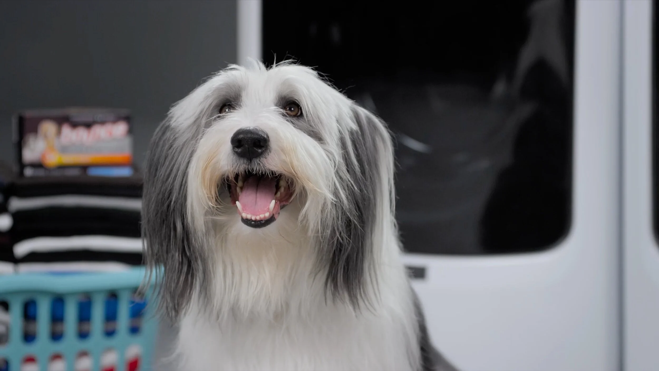 WEtv & Bounce "BUDDY"