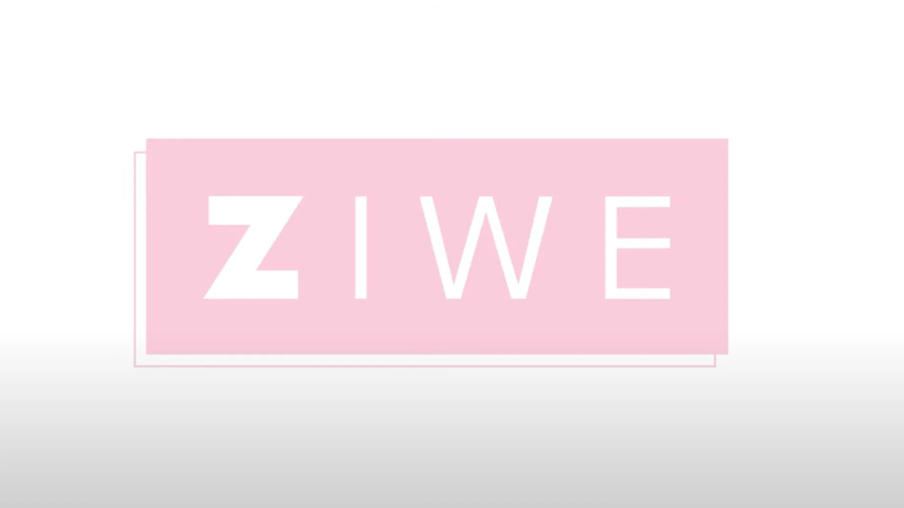 Model Minorities | ZIWE (Aparna Nancherla)