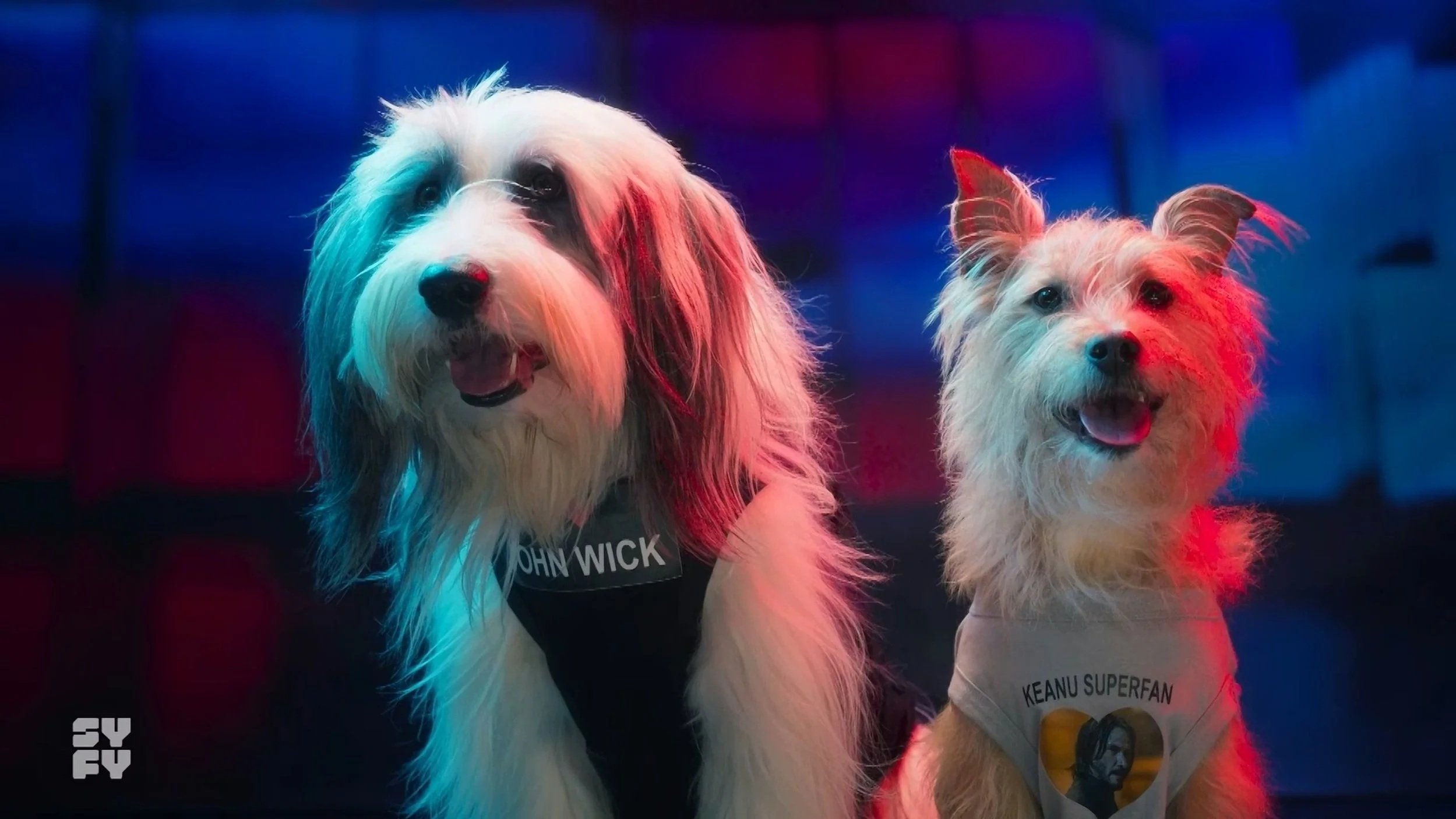 SYFY - Weekend of Wick Image