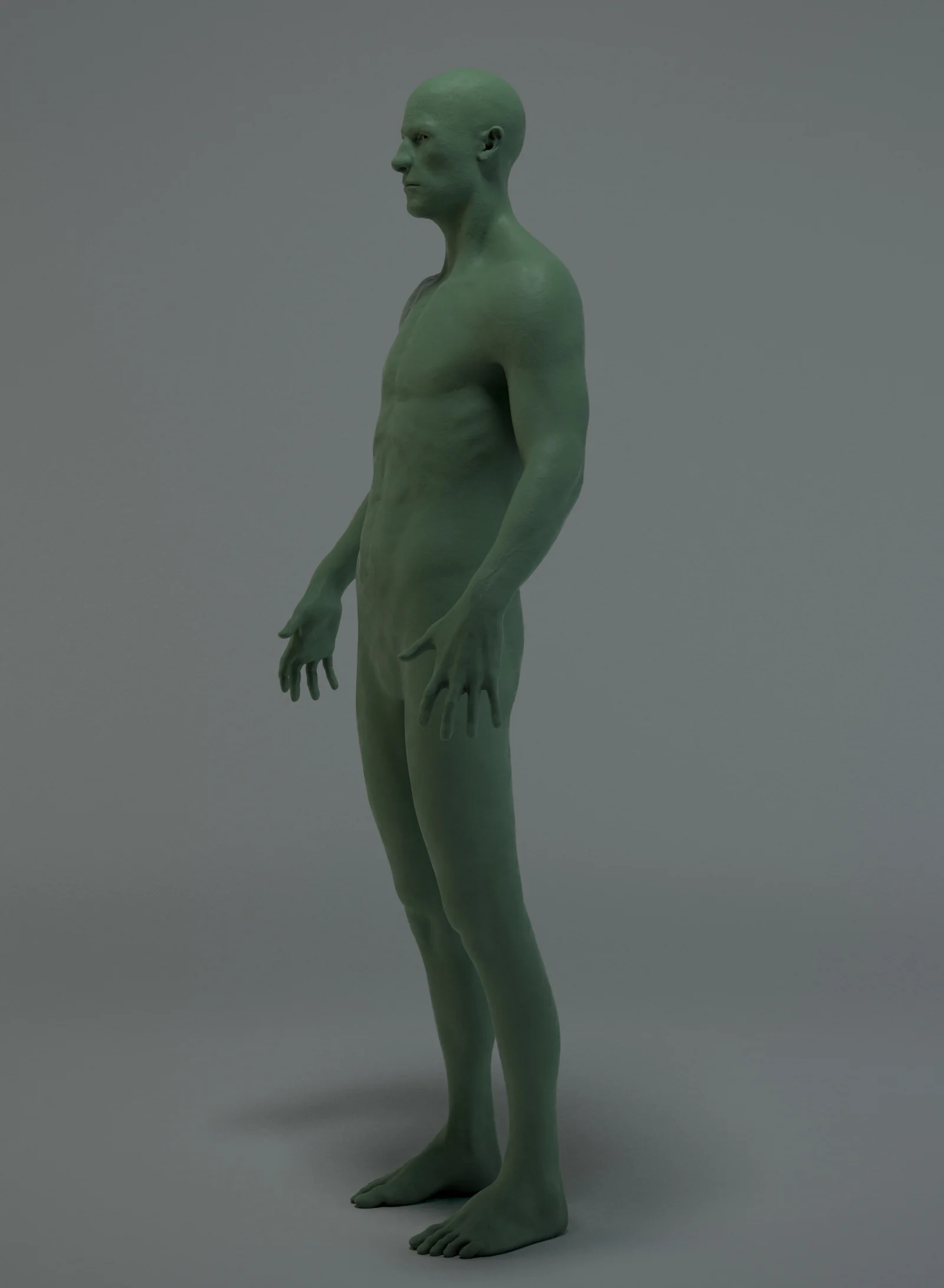 male_sculpt_34.jpg