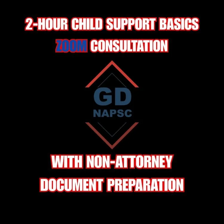 2 Hour Child Support Basics & Consultation Combo via Zoom With Docs