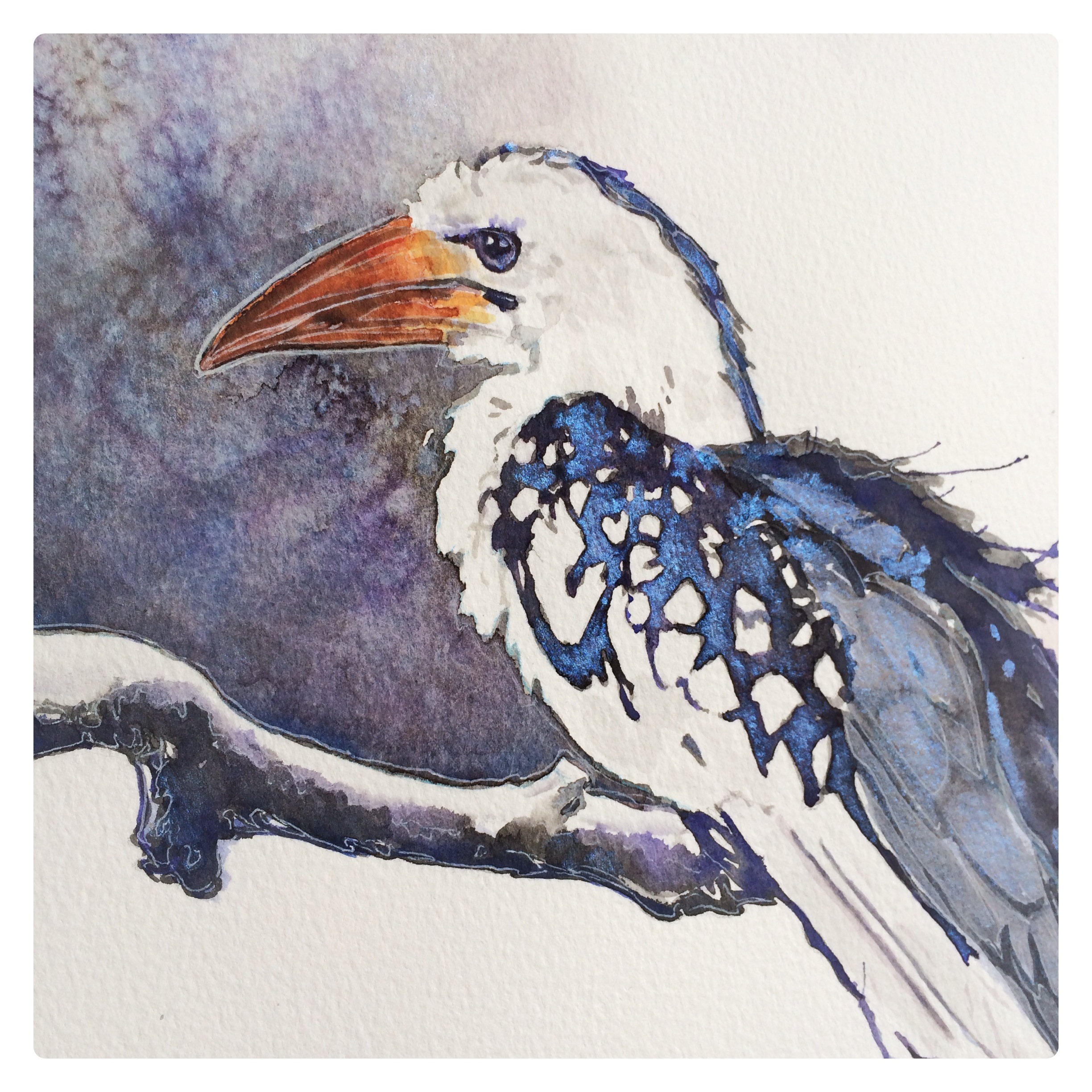Watch me add the metallic paint on this hornbill here ! 