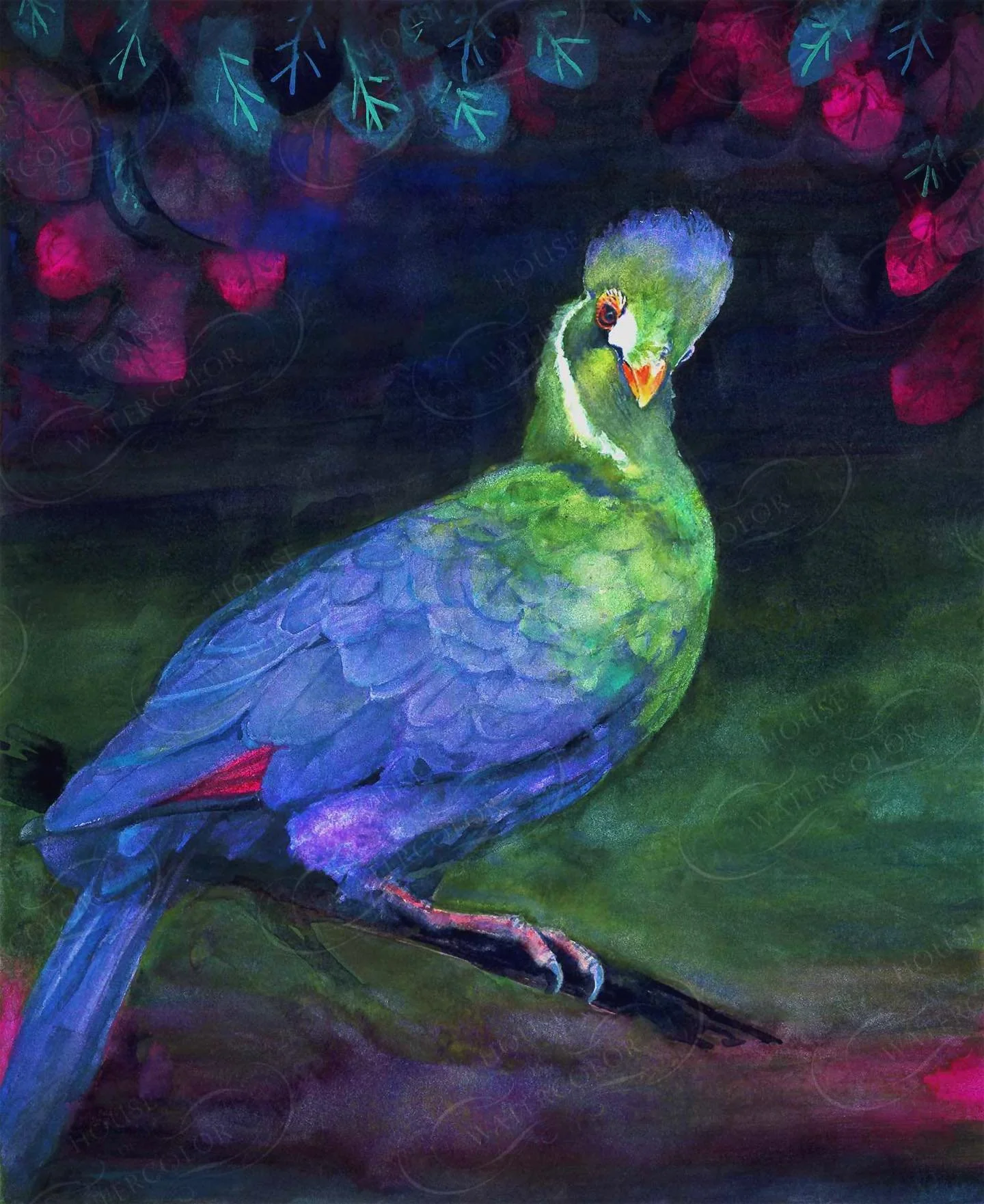 Day 17 - Turaco (white-cheeked turaco)

It took a while for me to come up with an idea for this turaco painting. When the ideas just aren&rsquo;t there&hellip;you have to create opportunities for inspiration. Pursue anything that inspires you&hellip;