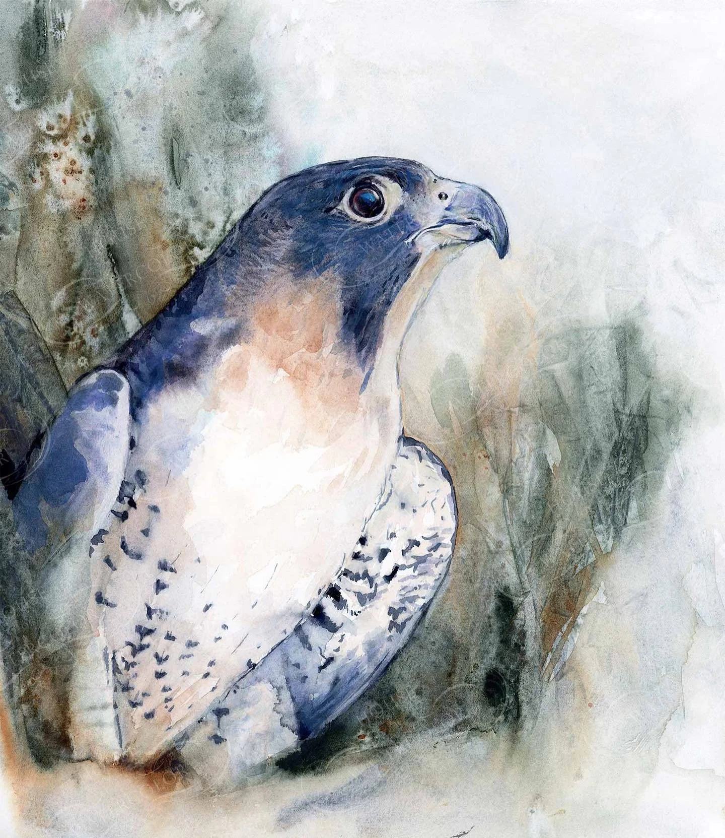 The Peregrine Falcon is finally finished! 🙌

Oooooh&hellip;and I&rsquo;m loving the way it turned out! 🤗🥰

#birdtober #birdtober2023 #birdtober23 #officialbirdtober #artchallenge #dailychallenge #dailyart #bird #birdartist #birdart #birdpainting #