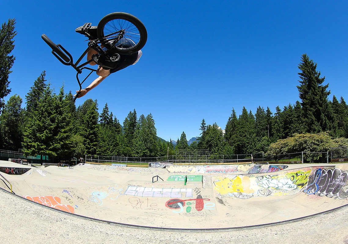 rt-bike-check-table-sharp.jpg