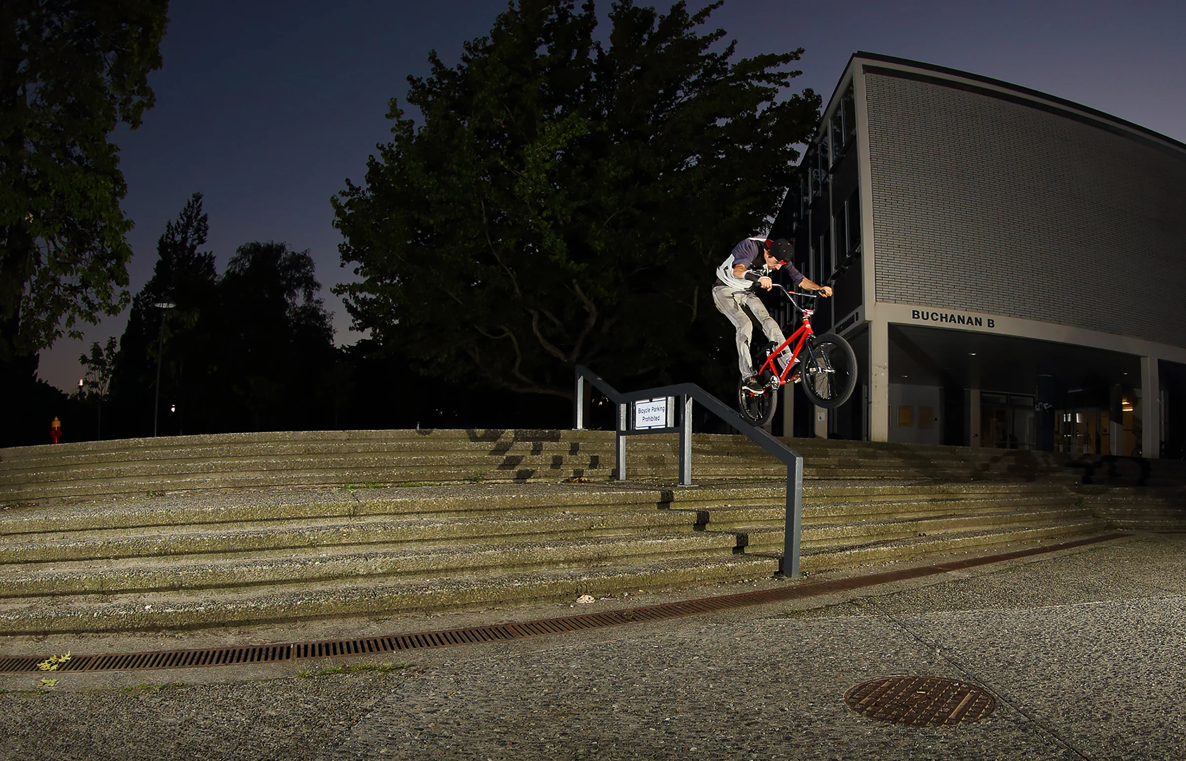 dave-l-rail-manual-final.jpg