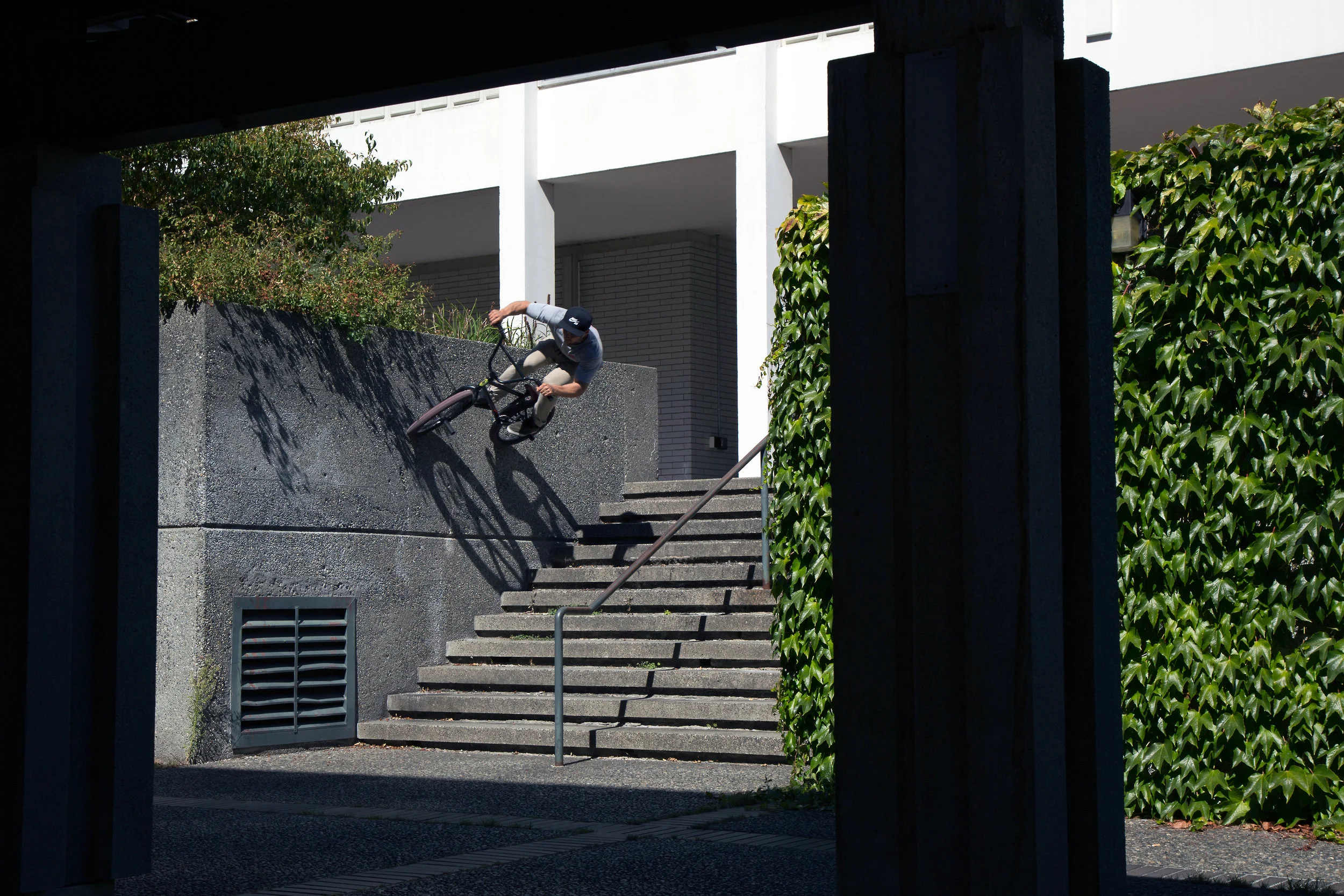 DP-NOLLIE-TO-WALLRIDE.jpg