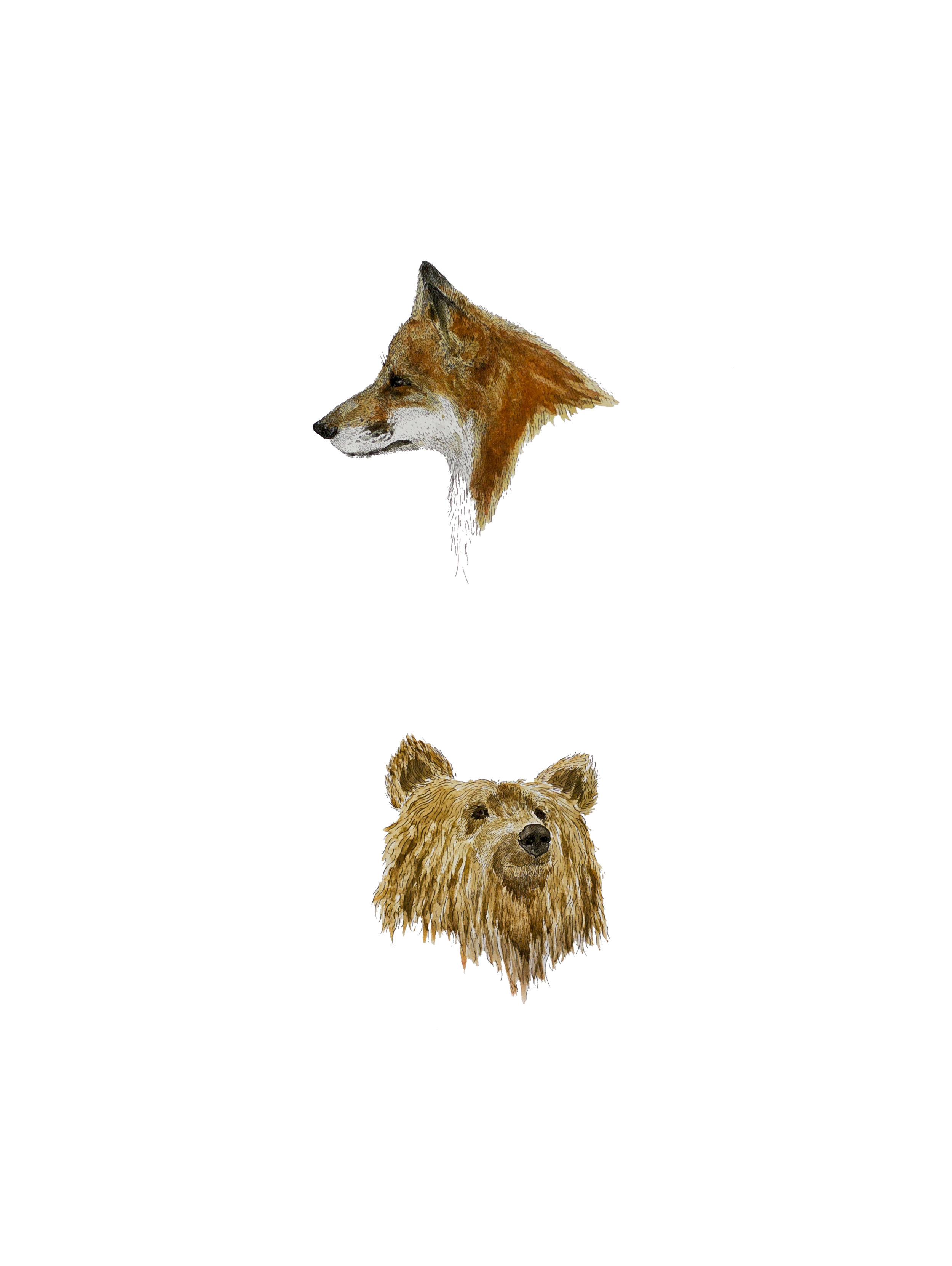 Daisy Campbell L6 Fine Art .jpg