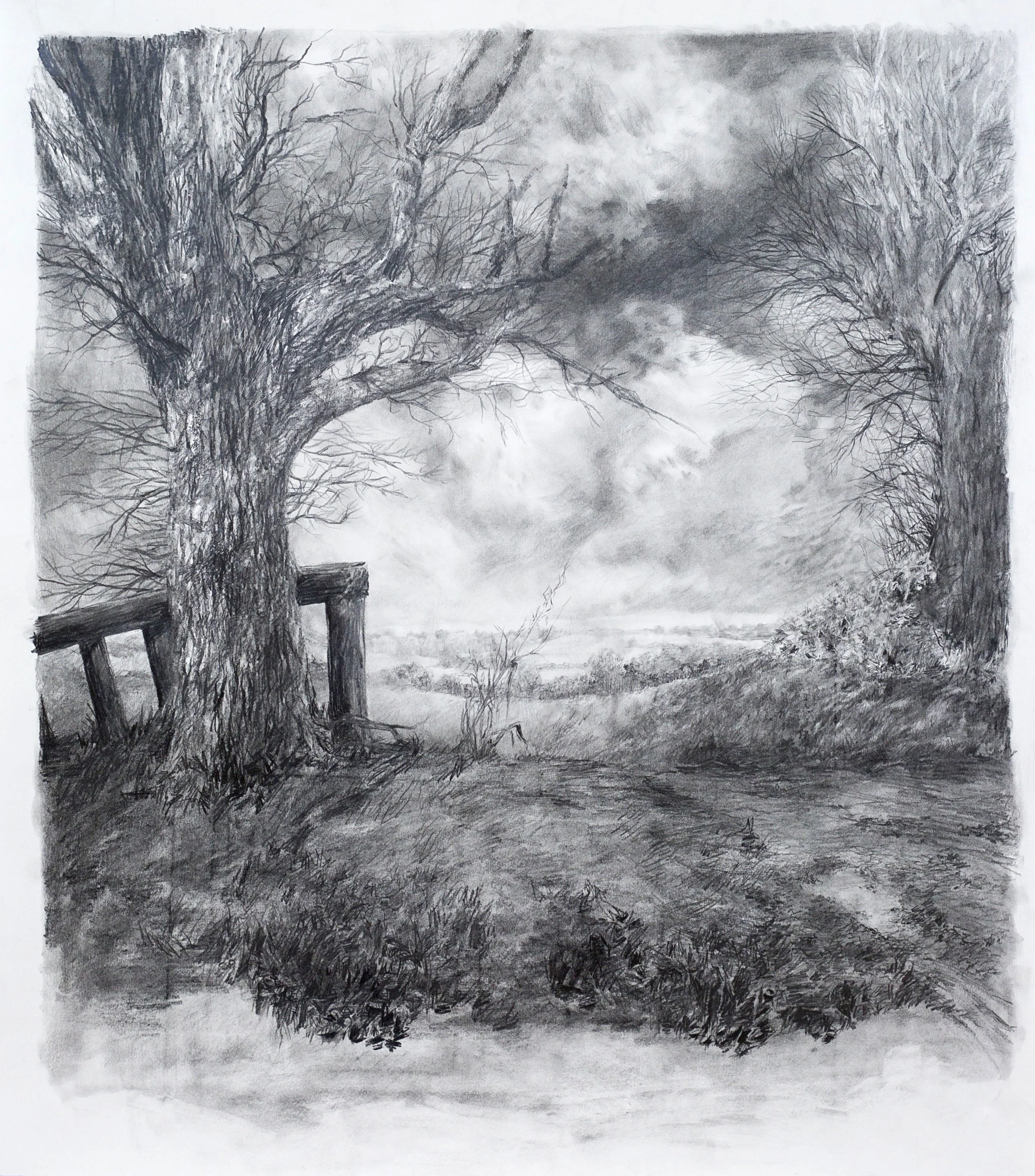 Anya Birch L6 Fine Art.jpg