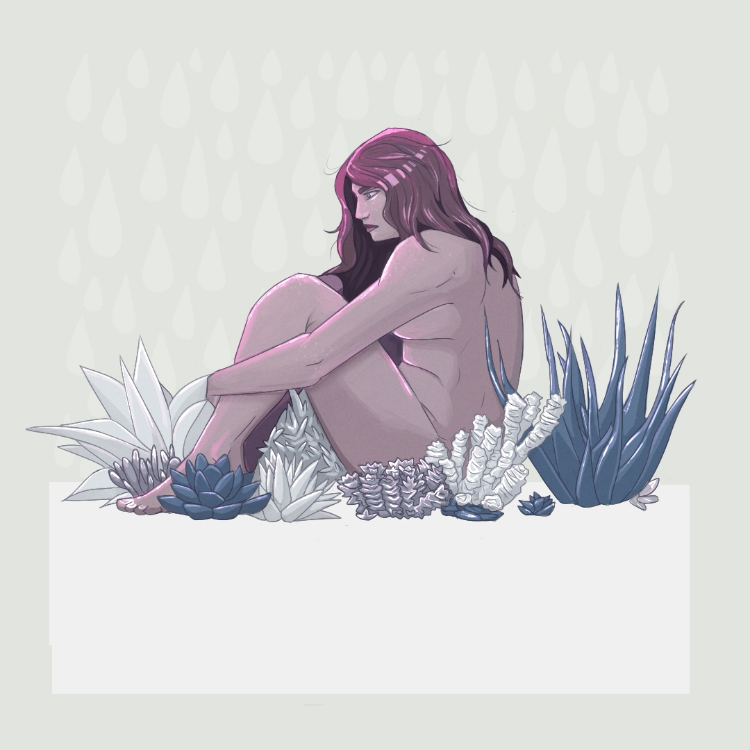 crassula 2.jpg