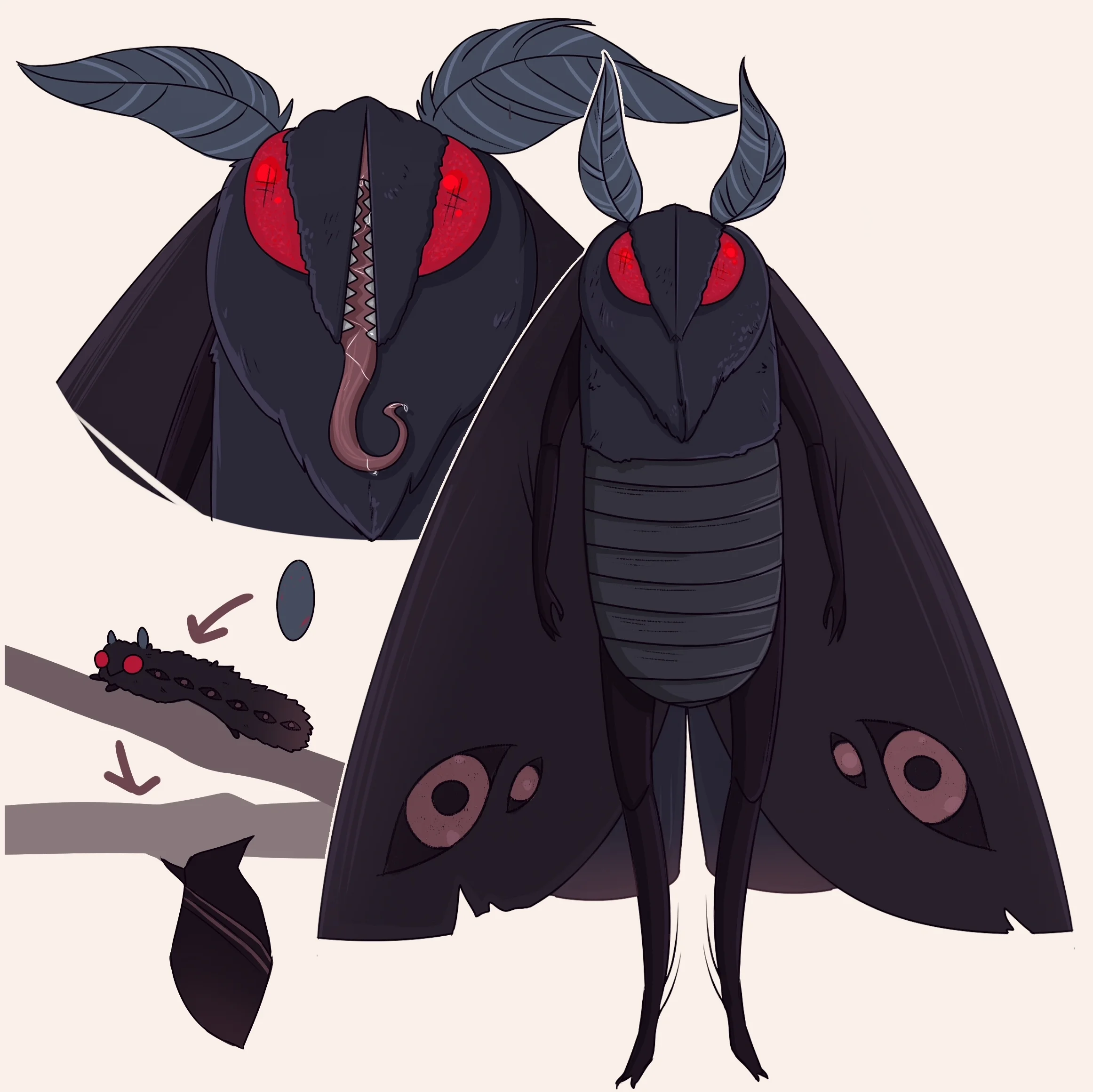 MOTHMAN copy.jpg