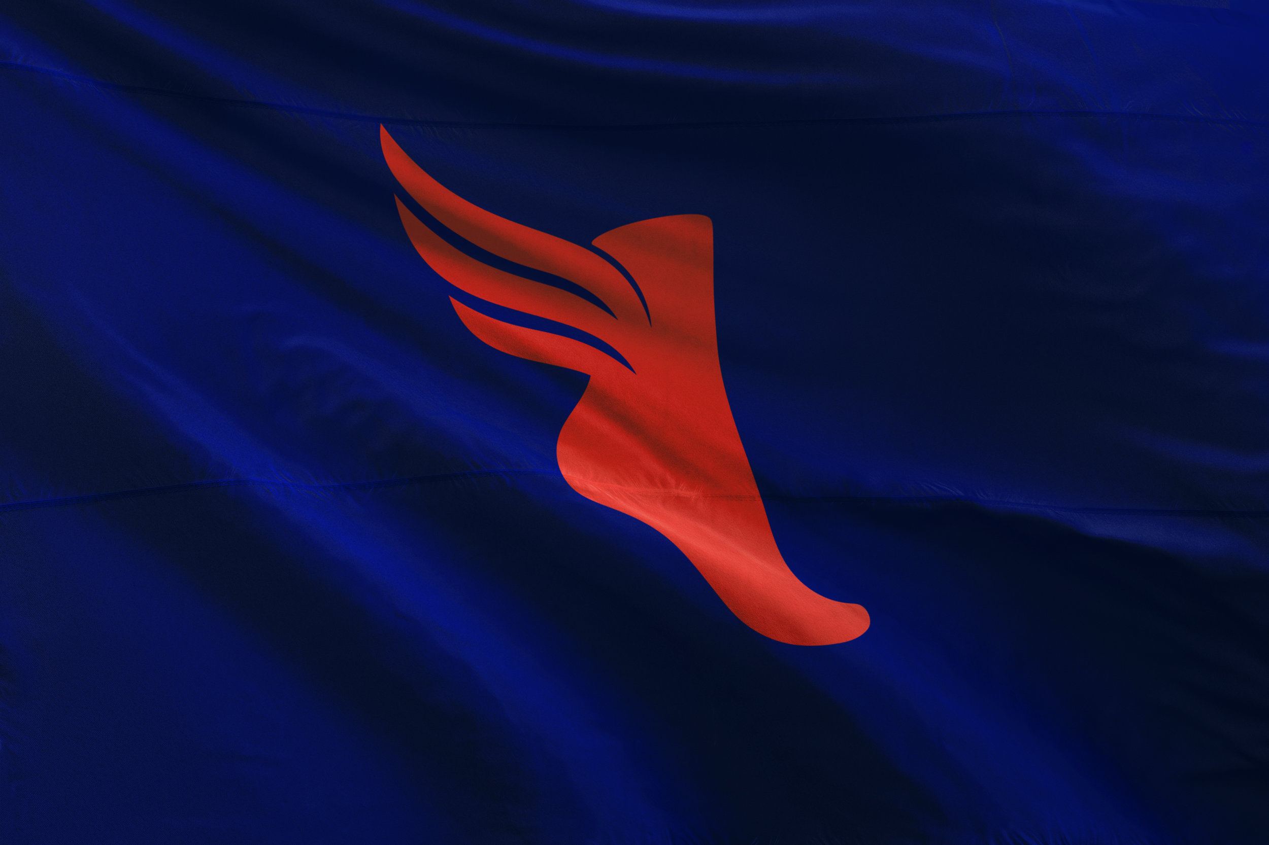 ReAgency_TAF_Flag_DIgital_01.jpg
