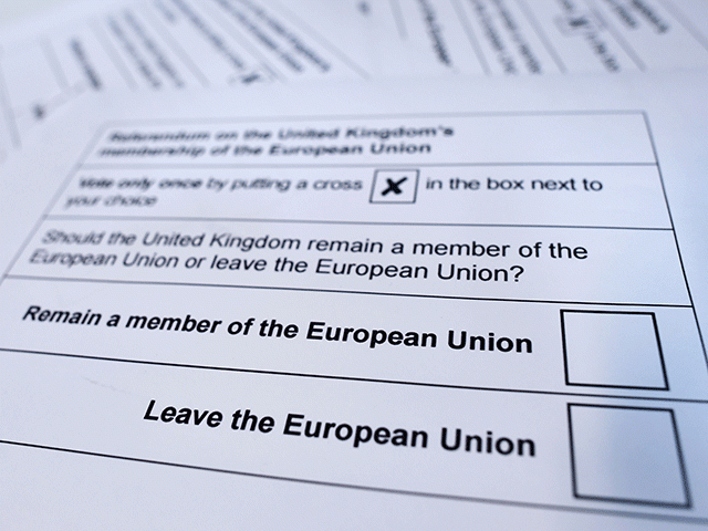 Referendum-voting-slip-640.640x480.gif