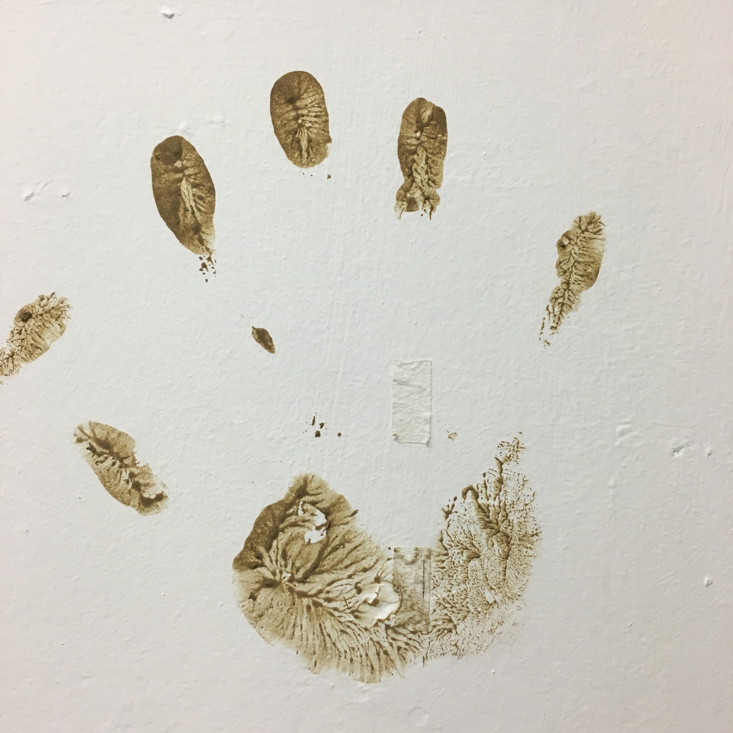 My muddy handprint on the corridor wall at the now defunct University of Brighton Photography and Moving Image building at Circus Street. My hands were muddy from installing the turf for my assessment installation, January 27th 2016. 