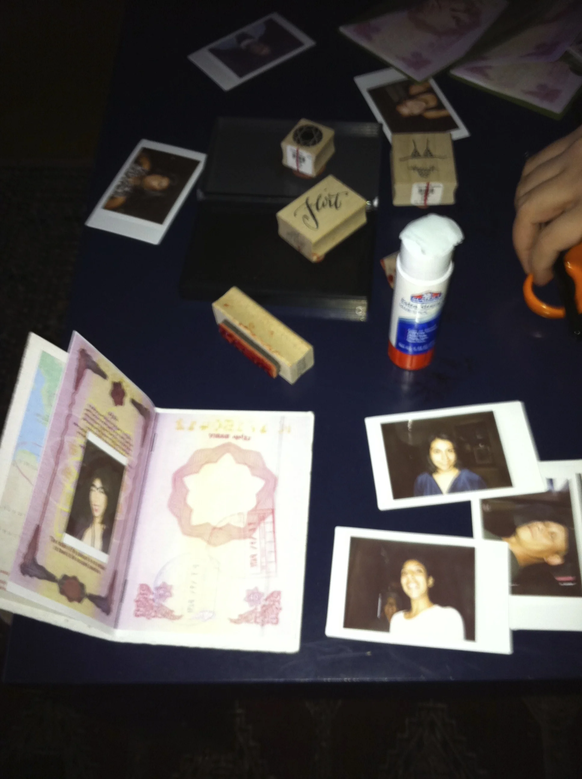 Passports to Ninjastan 2011