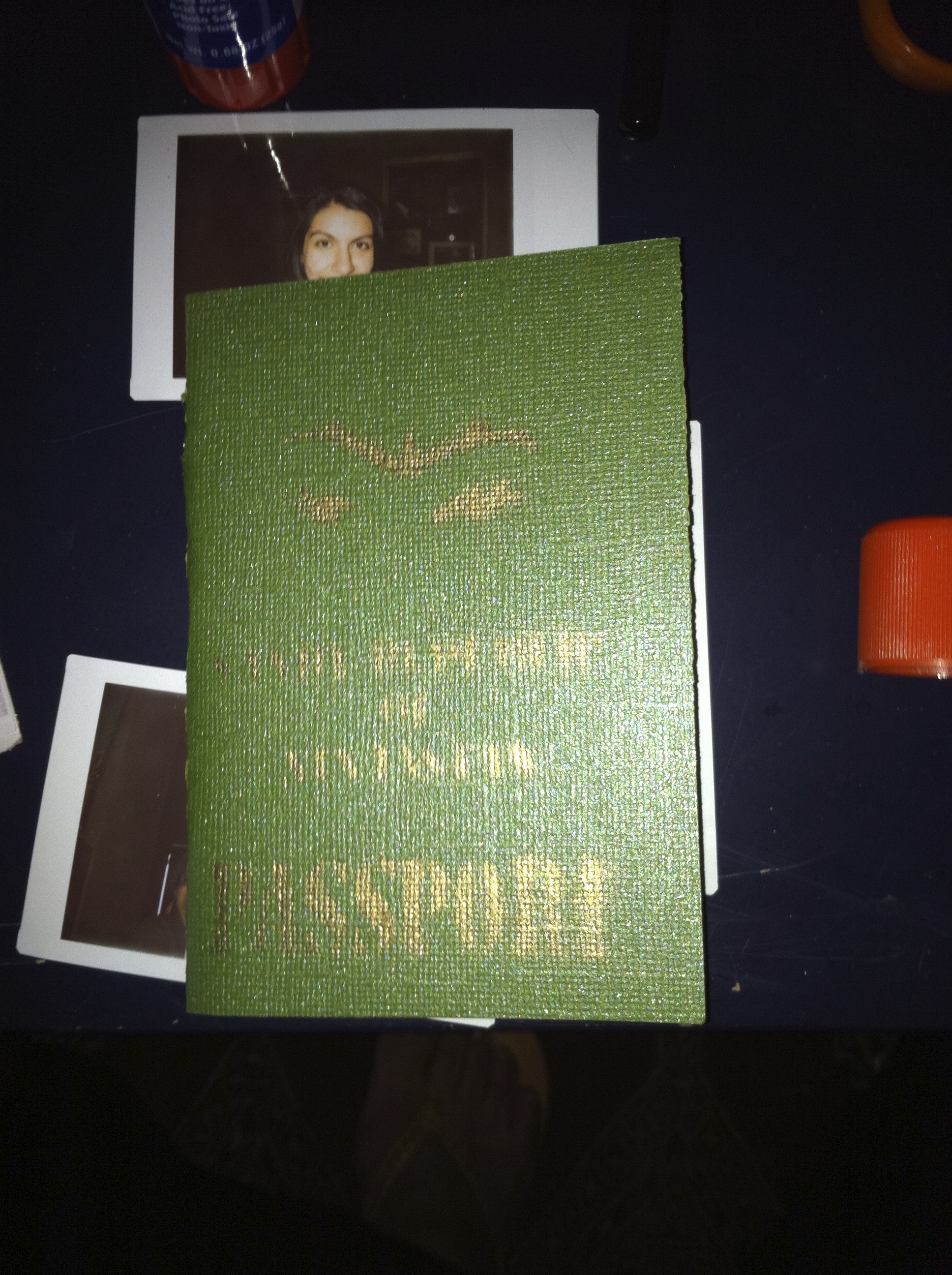 Passport to Ninjastan     2011