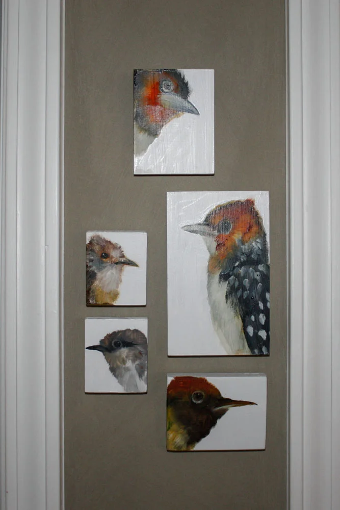 Mini Bird Paintings: Diane Kilgore