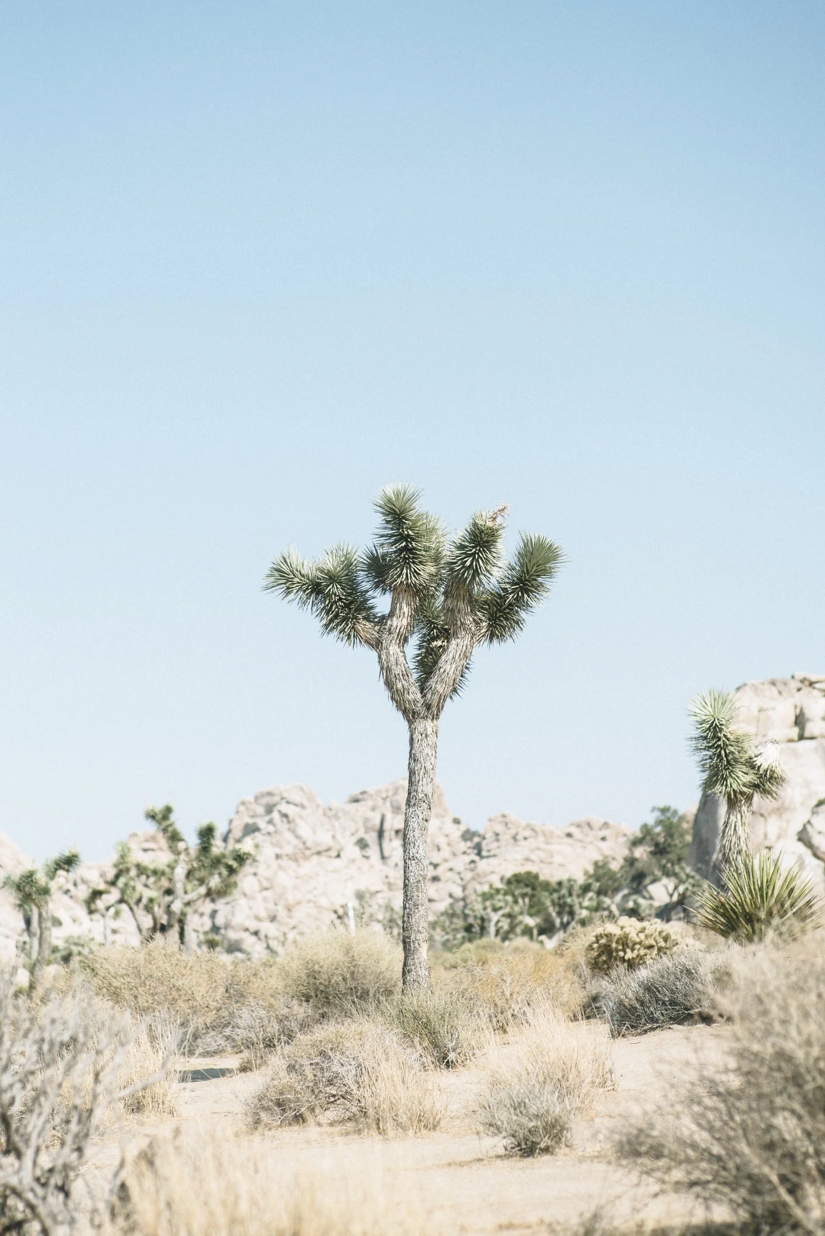 unsplash-image-AhHICglxxx8.jpg
