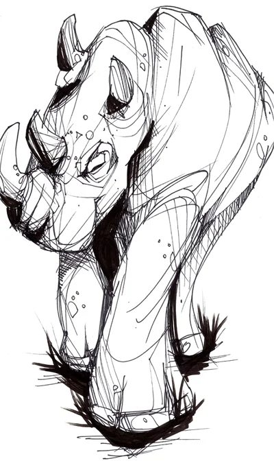 NegativeRhinoXtra.jpg