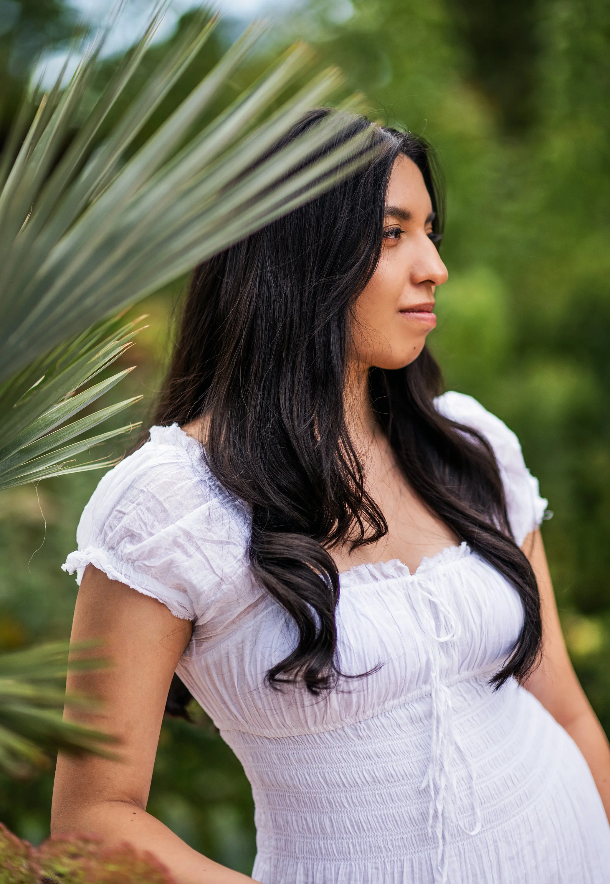 Dress2web.jpg