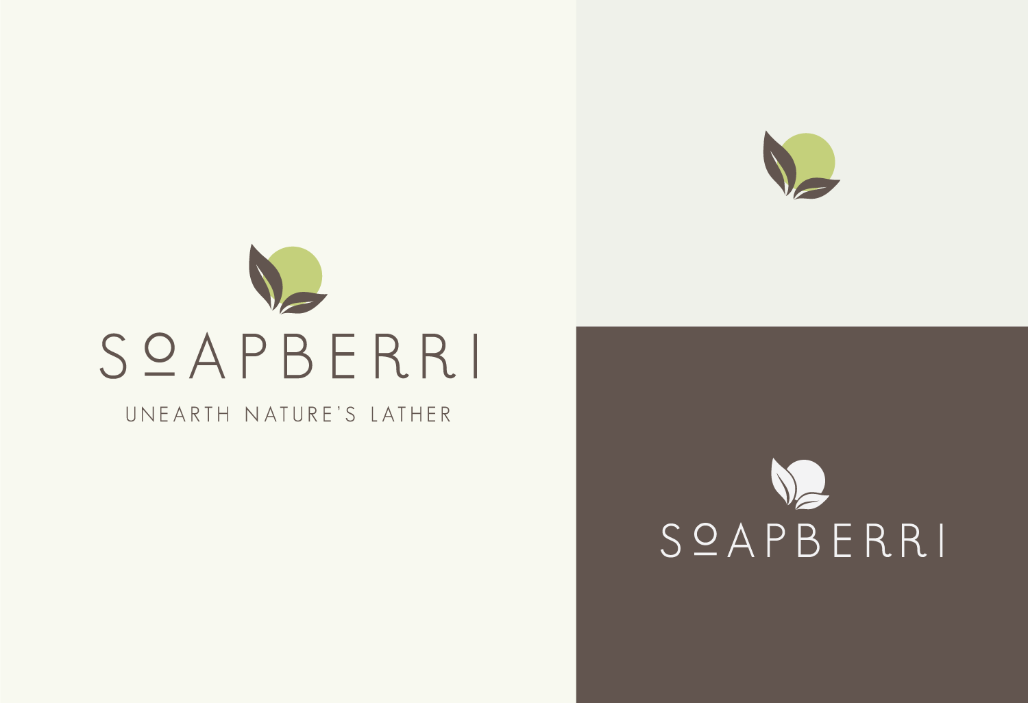 portfolio_soapberri_logovars.png