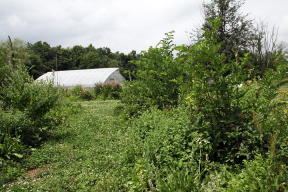 southeast field aisle