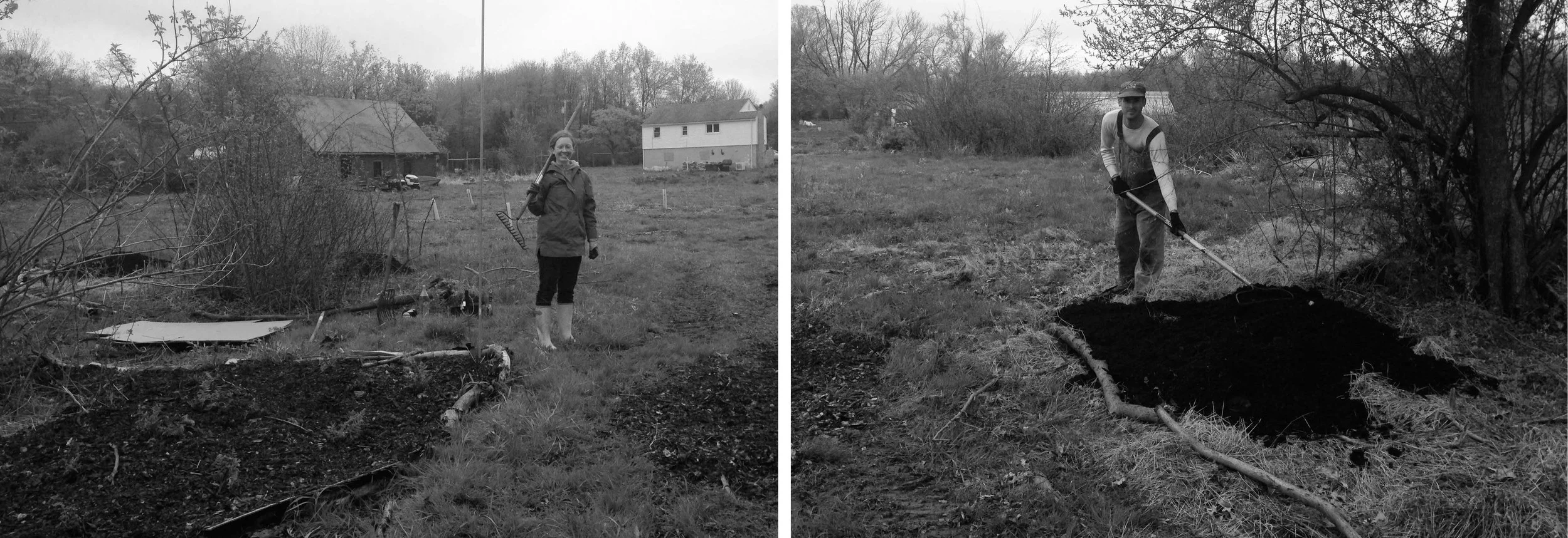 Katie & James planting ostrich fern along stream valley.