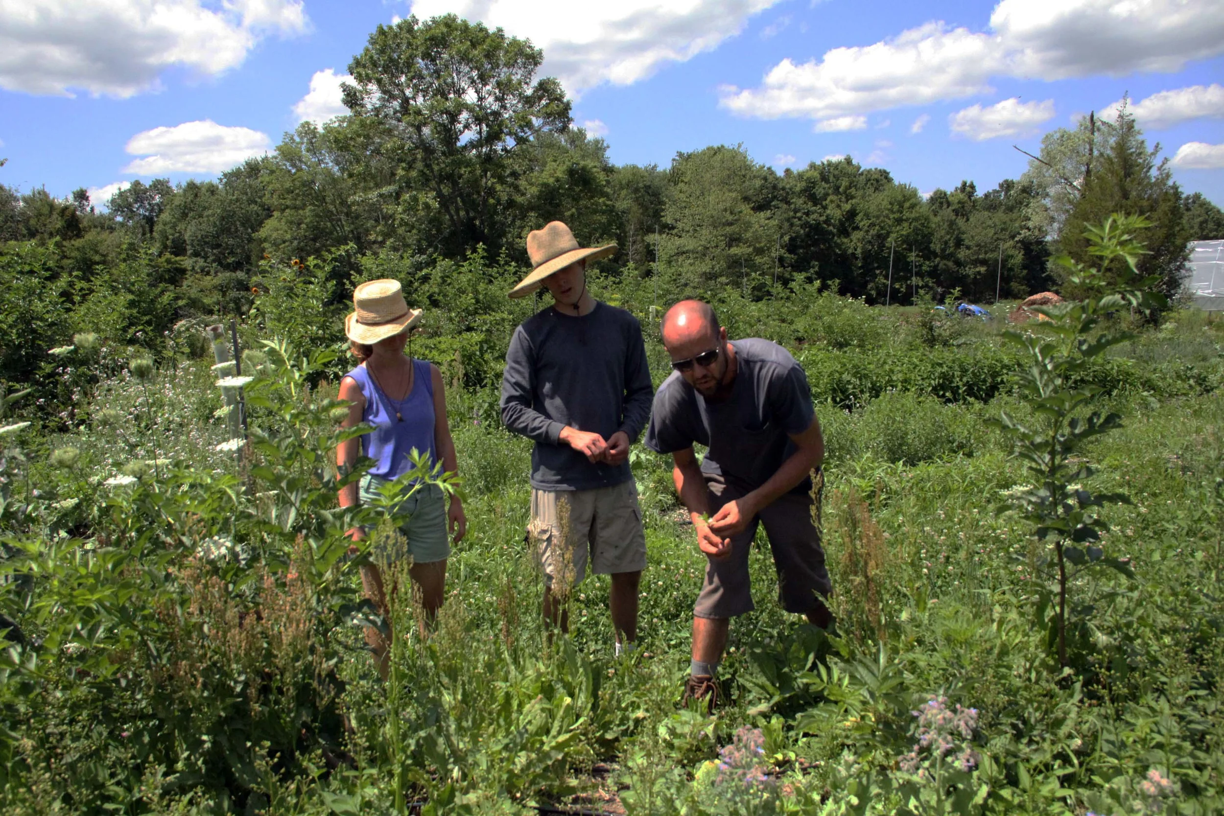 Many hands make light work